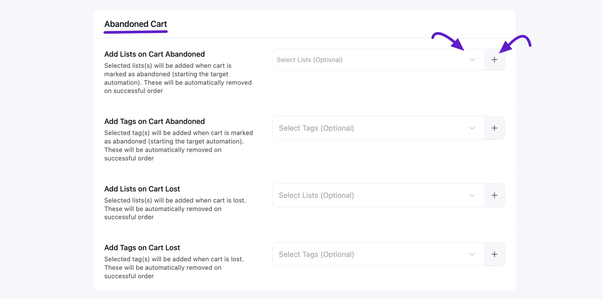 abandon cart settings fluentcrm 6
