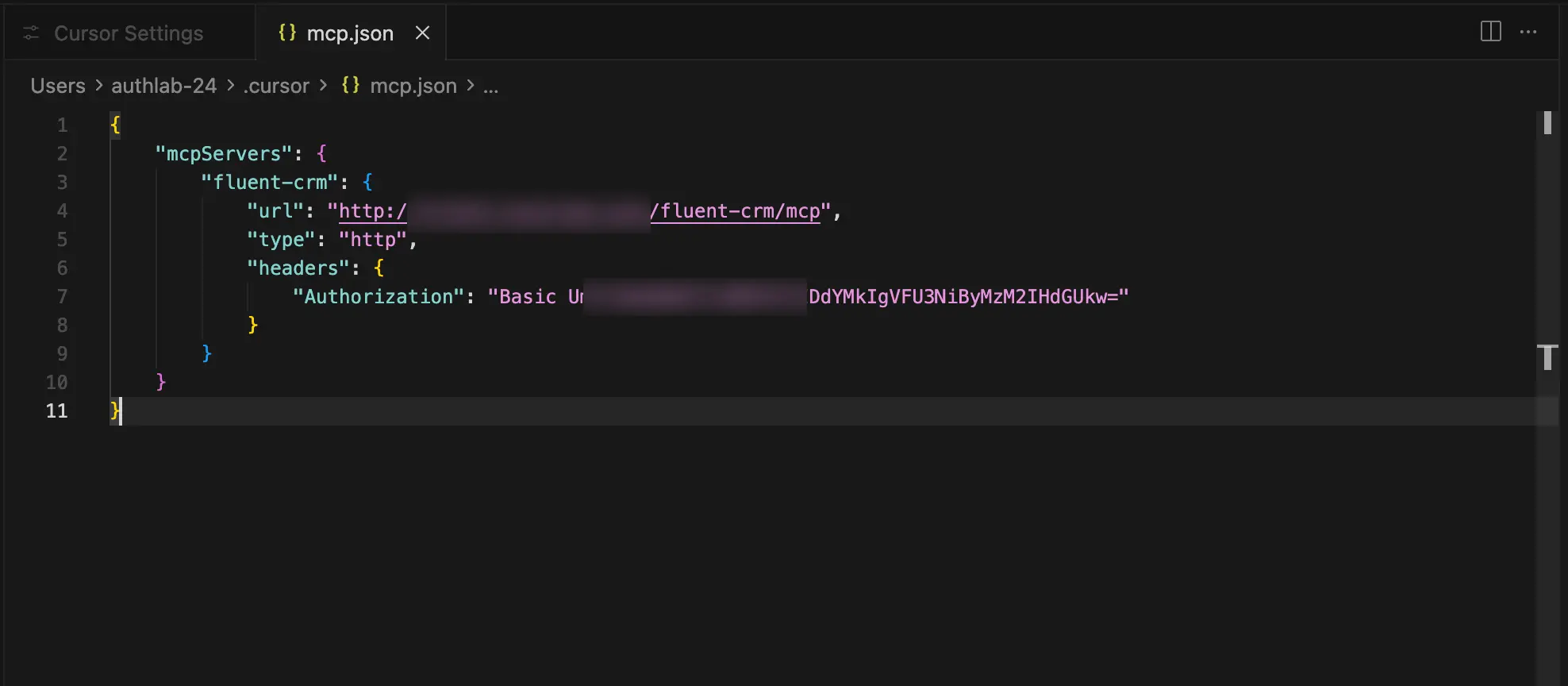 mcp.json file in Cursor showing the fluent-crm MCP server configuration